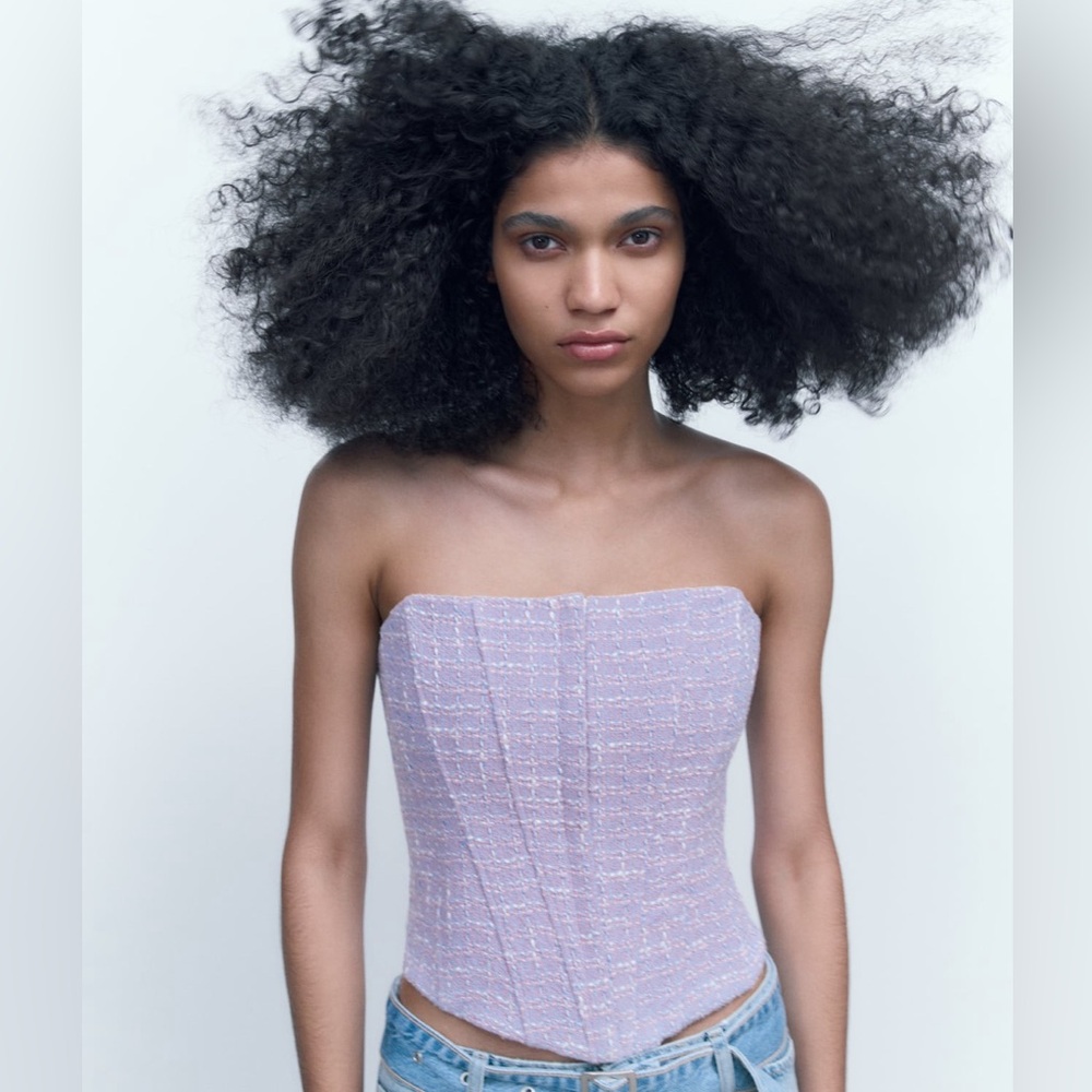 NWT Zara Corset Top